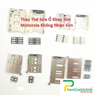 Thay Thế Sửa Ổ Khay Sim Motorola Moto Z3 Play Không Nhận Sim